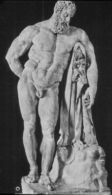 Farnese frontal